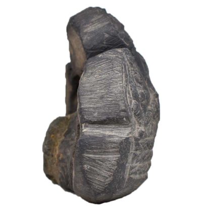 182gms-Vishnu-Murti-Shaligram-Side