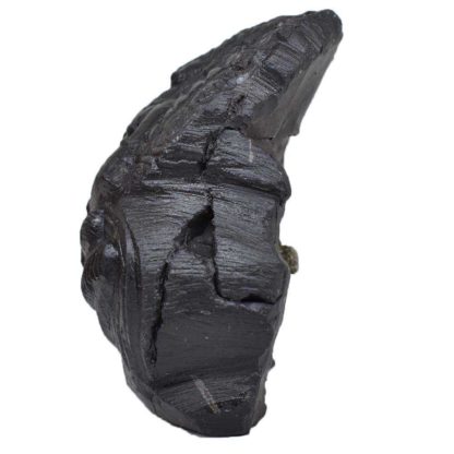 188gms-NarSimha-Murti-Shaligram-Side-2