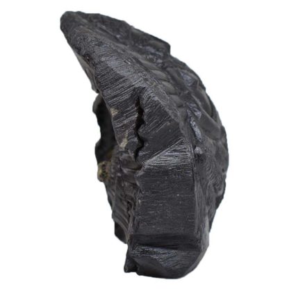 188gms-NarSimha-Murti-Shaligram-Side