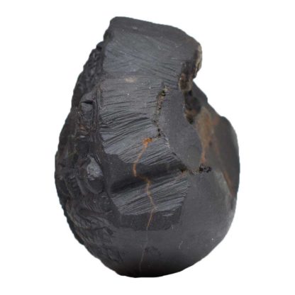 204gms-Vishnu-Murti-Shaligram-Side-2