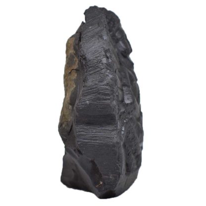 208gms-NarSimha-Murti-Shaligram-Side