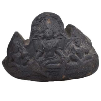 235gms-Vishnu-Murti-Shaligram