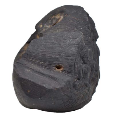 235gms-Vishnu-Murti-Shaligram-Side