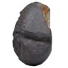 245gms-NarSimha-Murti-Shaligram-Side-2