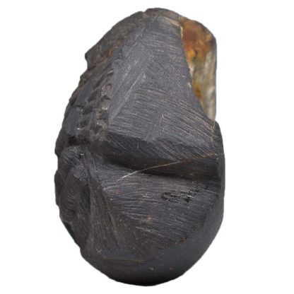 245gms-NarSimha-Murti-Shaligram-Side-2