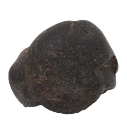 154gms-Auspicious-Shaligram-2