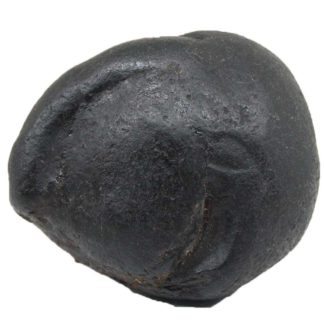 154gms-Auspicious-Shaligram