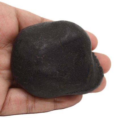 165gms-Auspicious-Shaligram-Back