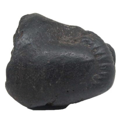 178gms-Auspicious-Shaligram