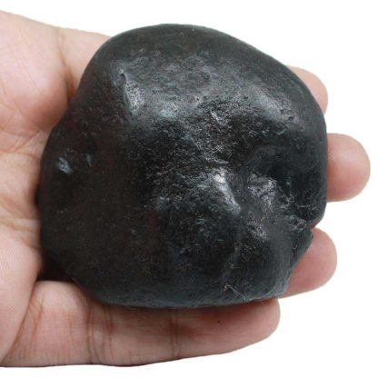 179gms-Auspicious-Shaligram-Back