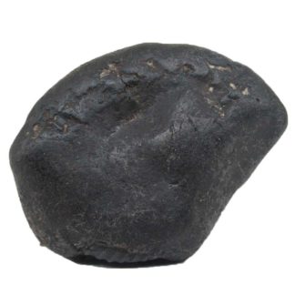 182gms-Auspicious-Shaligram