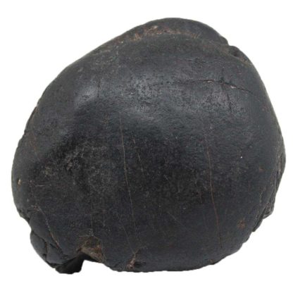 204gms-Auspicious-Shaligram