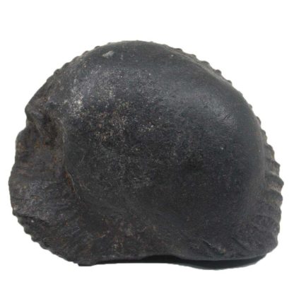 206gms-Auspicious-Shaligram