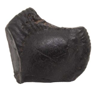 214gms-Auspicious-Shaligram