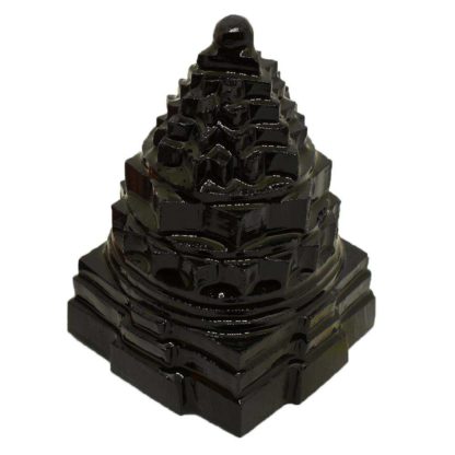 436gms-Shaligram-Shree-Yantra-Side