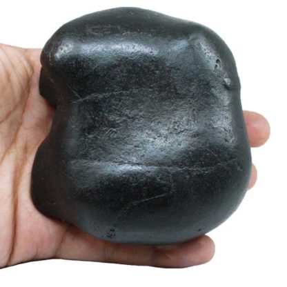 470gms-Auspicious-Shaligram-Back