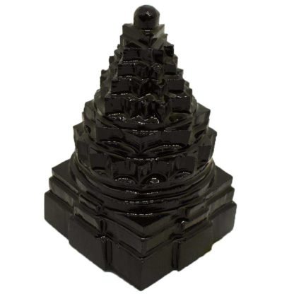 612gms-Shaligram-Shree-Yantra-Side