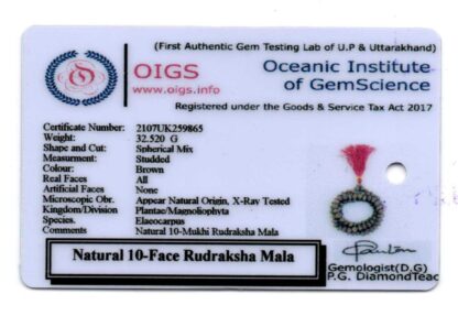 10-Mukhi-Rudraksha-Mala-Indonesian-Certificate