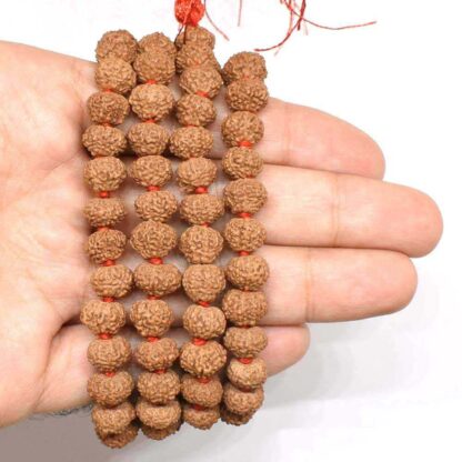 10-Mukhi-Rudraksha-Mala-Indonesian-Hand