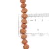 10-Mukhi-Rudraksha-Mala-Indonesian-Scale