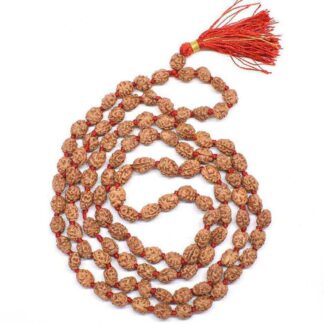 2-Mukhi-Rudraksha-Mala-Indonesian