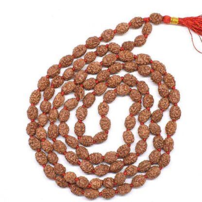 3-Mukhi-Rudraksha-Mala-Indonesian