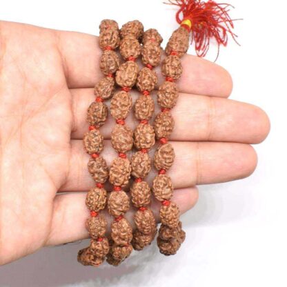 3-Mukhi-Rudraksha-Mala-Indonesian-Hand