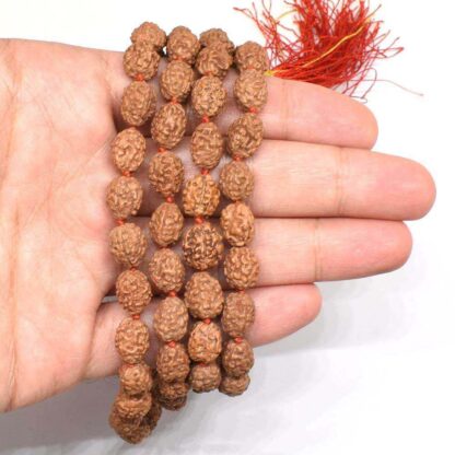 4-Mukhi-Rudraksha-Mala-Indonesian-Hand