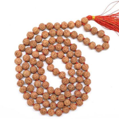 6-Mukhi-Rudraksha-Mala-Indonesian