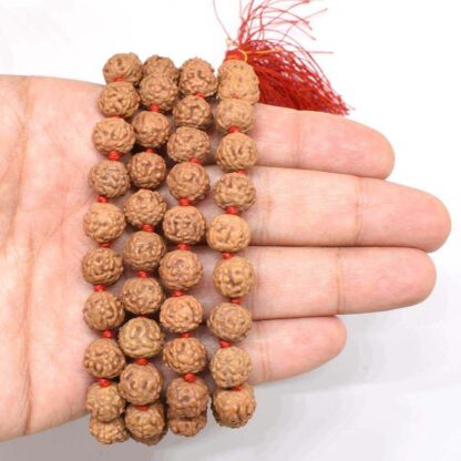 6-Mukhi-Rudraksha-Mala-Indonesian-Hand