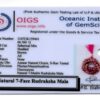7-Mukhi-Rudraksha-Mala-Indonesian-Certificate