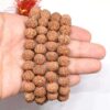 7-Mukhi-Rudraksha-Mala-Indonesian-Hand