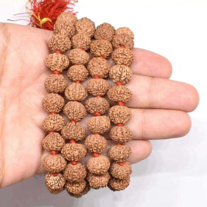 7-Mukhi-Rudraksha-Mala-Indonesian-Hand