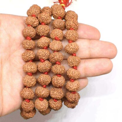 8-Mukhi-Rudraksha-Mala-Indonesian-Hand