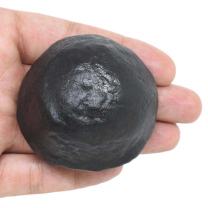 129gms-Sudershan-Shaligram-Back