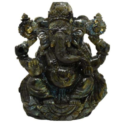 6.46kgs-Ganesha-Labradorite-Back