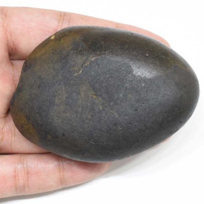 121gms-Rama-Shaligram-Back