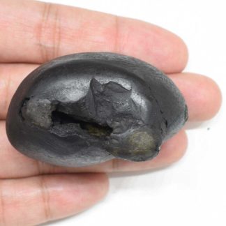 127gms-Kurma-Shaligram