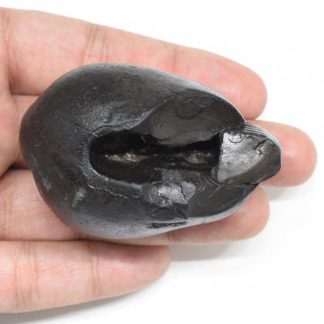 128gms-Laxmi-Ganesha-Shaligram