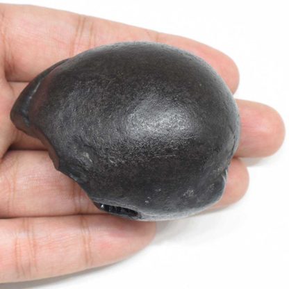 128gms-Laxmi-Ganesha-Shaligram-Back