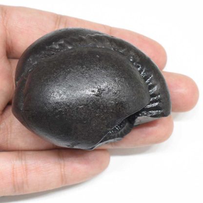 128gms-Laxmi-Ganesha-Shaligram-Top