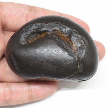 131gms-Rama-Shaligram-Back