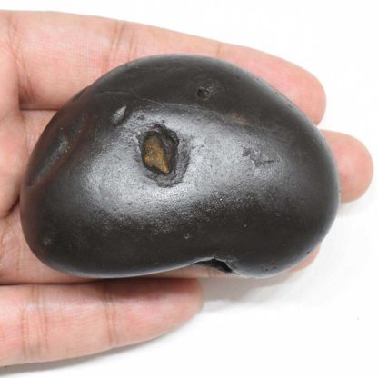 131gms-Rama-Shaligram-Top