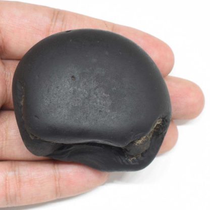 139gms-Santan-Gopala-Shaligram-Back