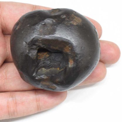 142gms-Santan-Gopala-Shaligram