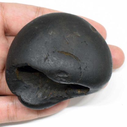 144gms-Rama-Shaligram-Back