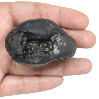 147gms-Matsya-Shaligram