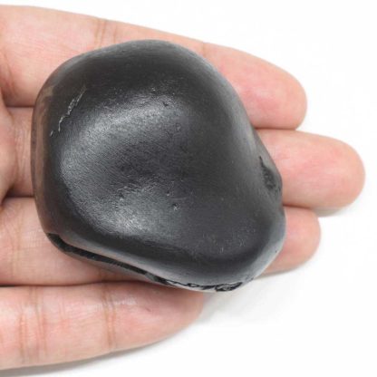 152gms-Golden-Laxmi-Shaligram-Back