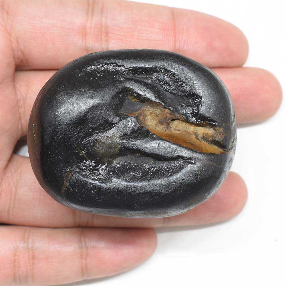 156gms Rama Shaligram Shila from Gandaki River Nepal