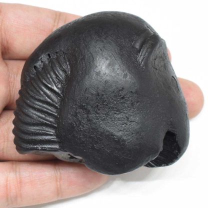 158gms-Laxmi-Ganesha-Shaligram-Top